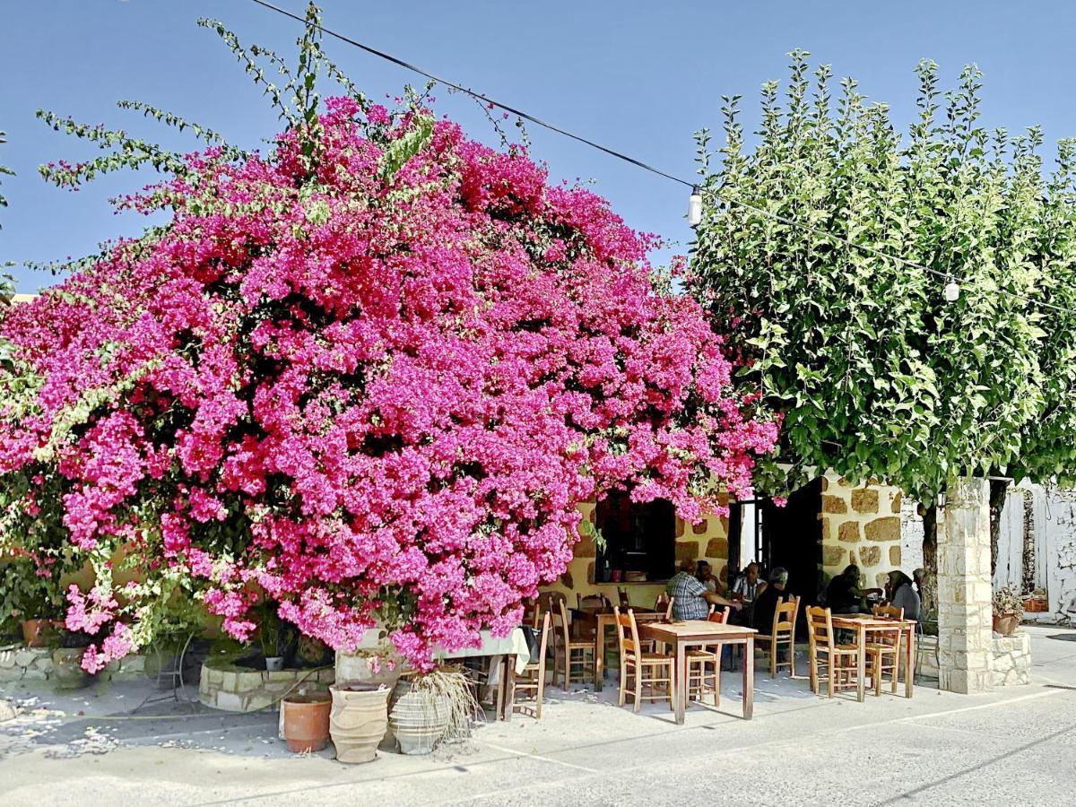 Villa Artemis Vryses Crete Alikampos Экстерьер фото